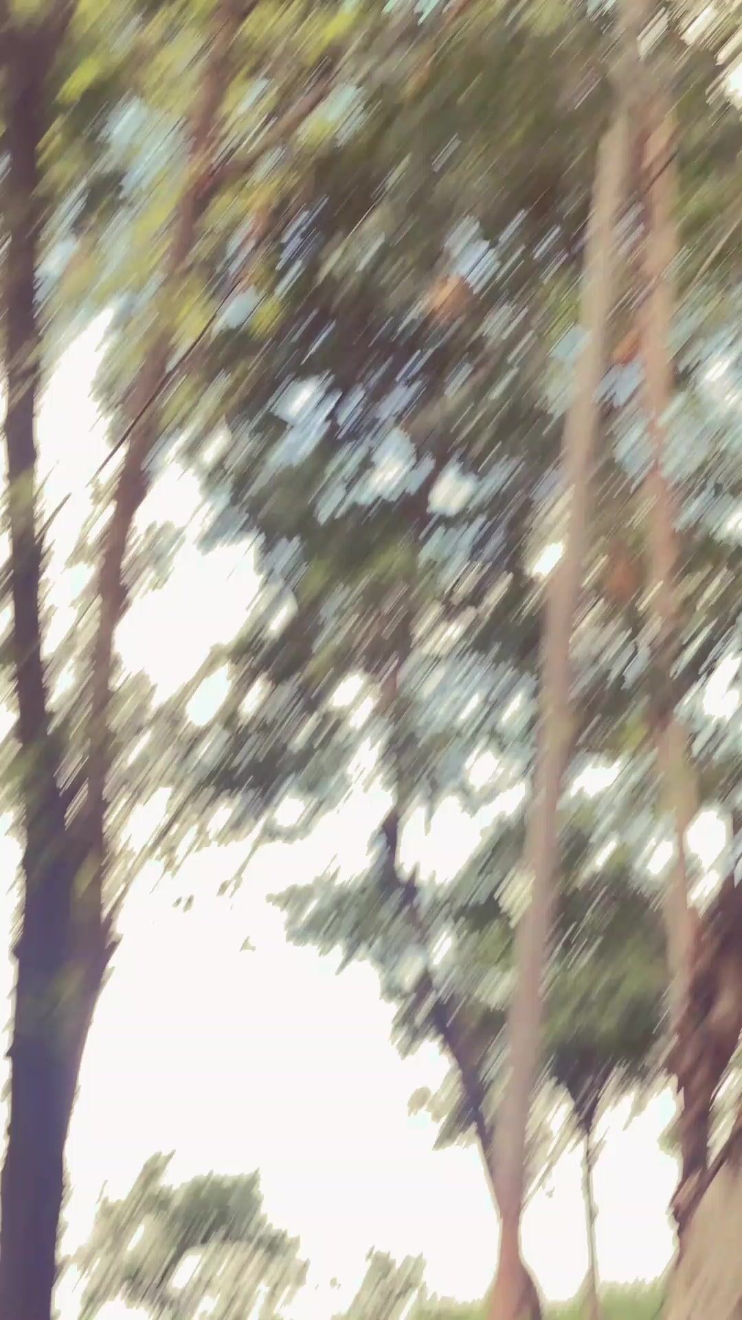 @B Í K Ã S H ツ