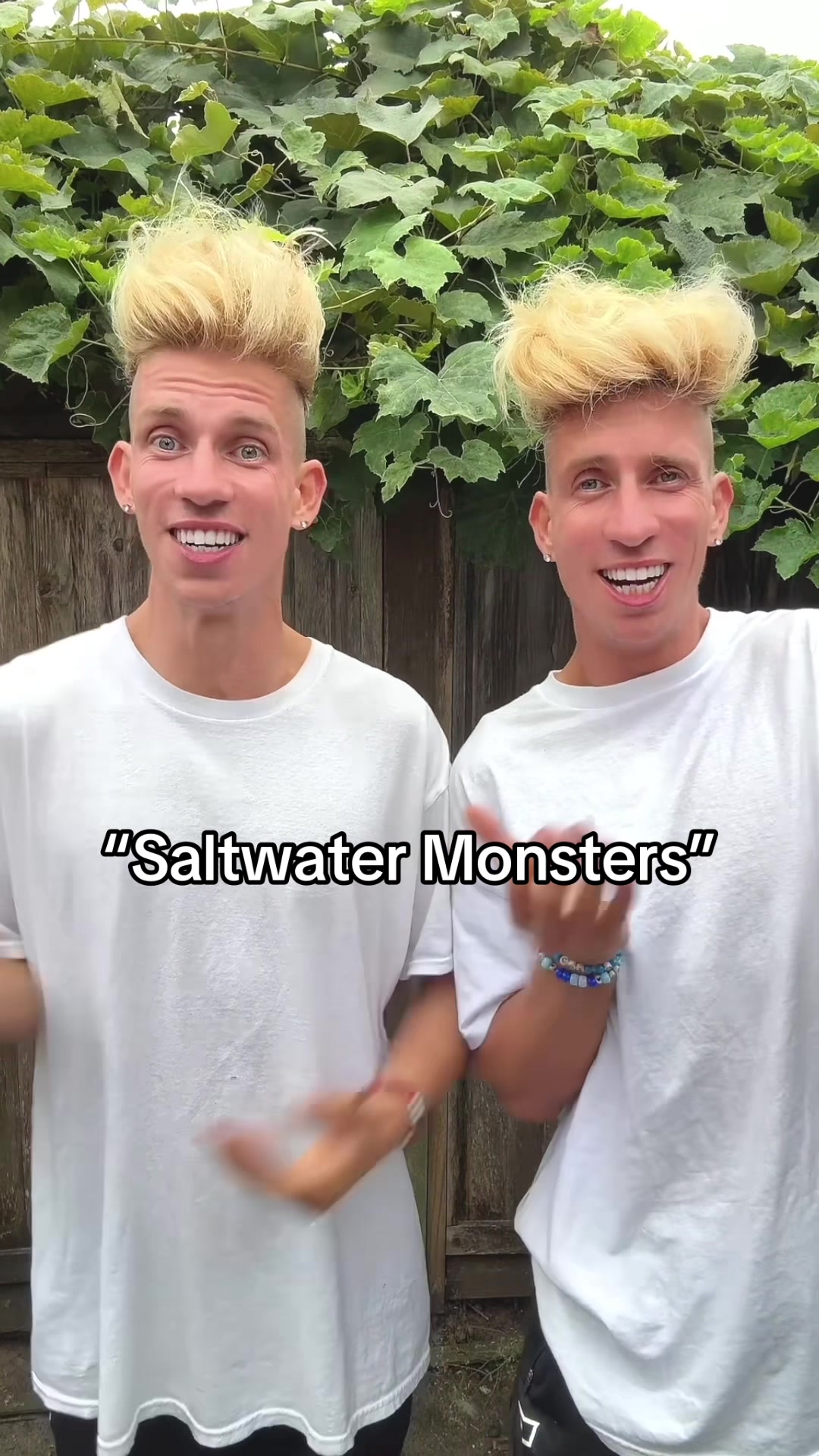 @vorostwins