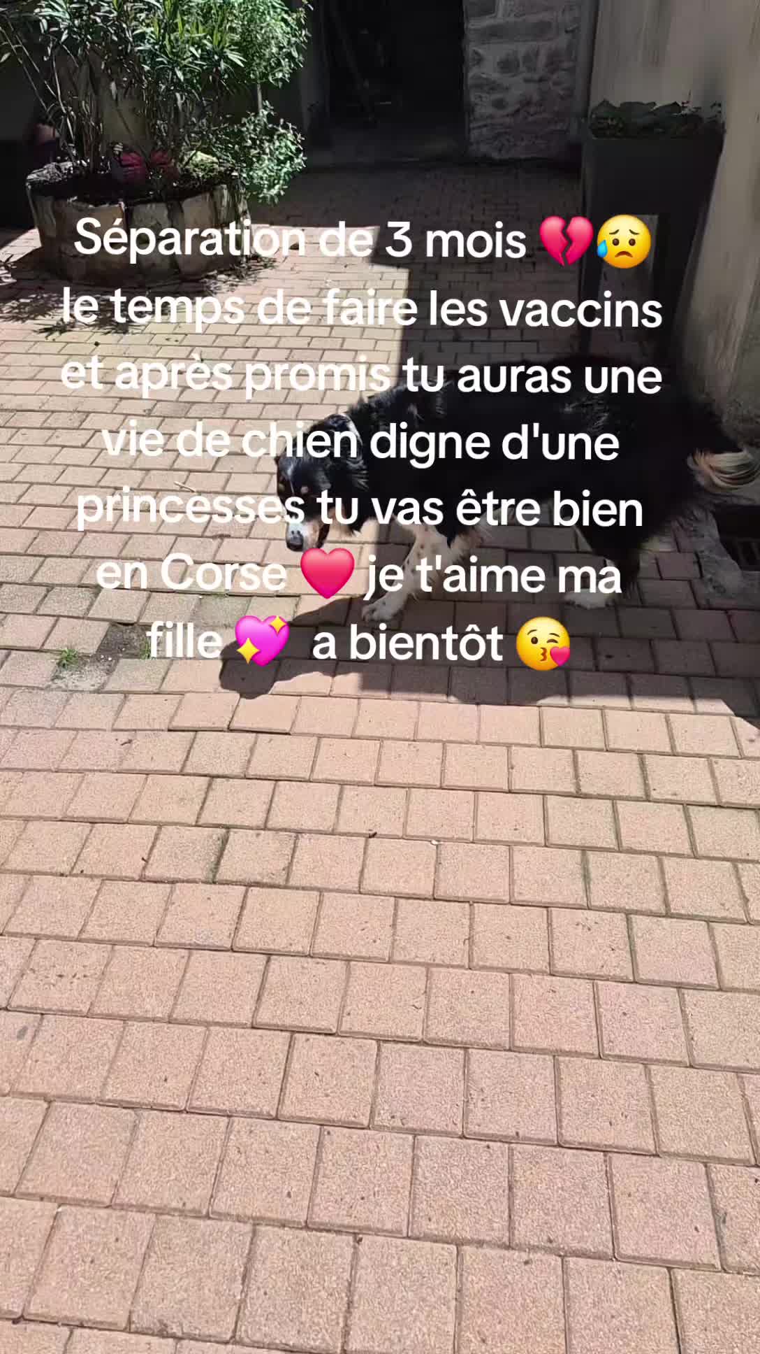 @justeManon🏳️&zwj;🌈