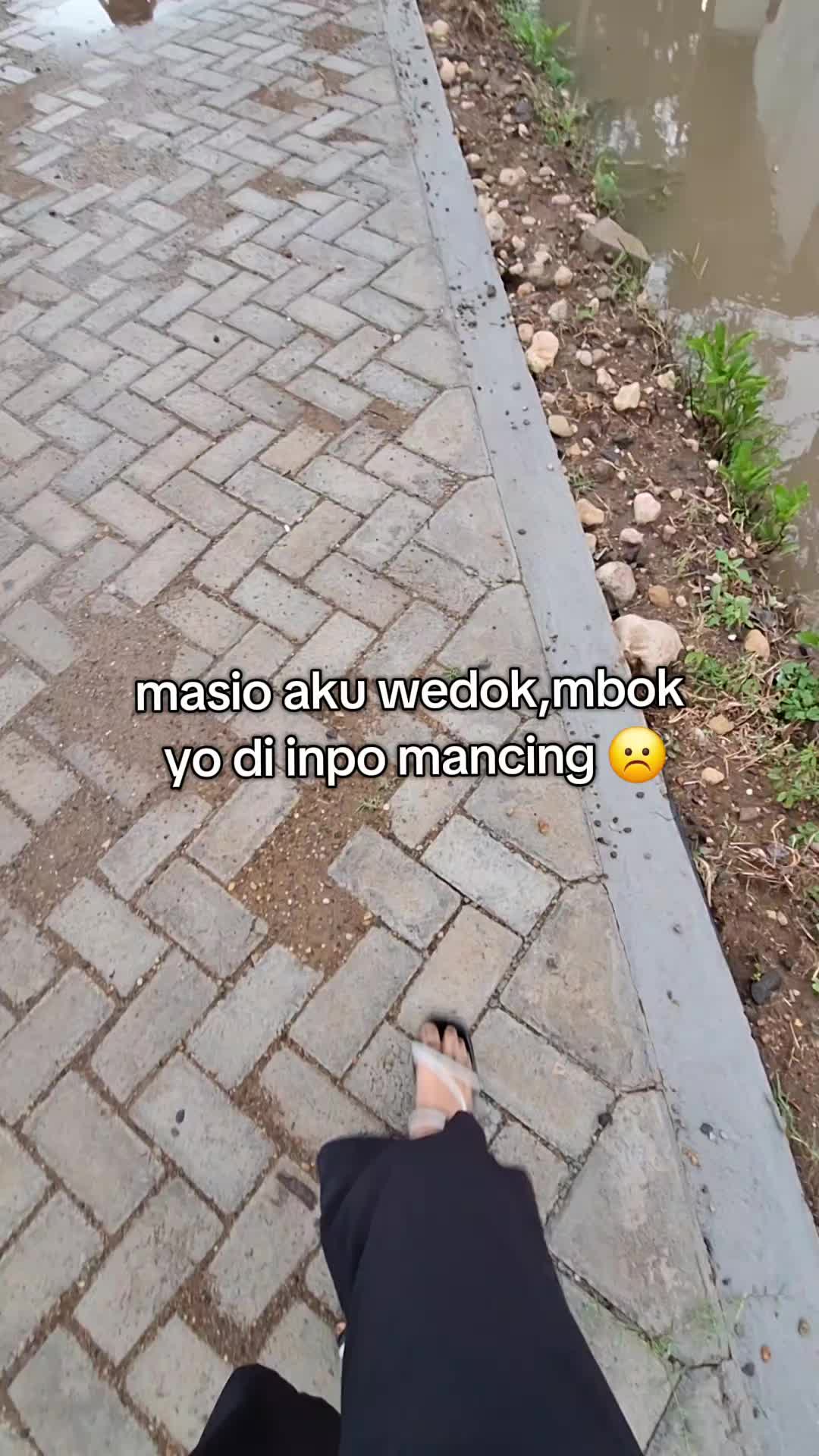 @ᡣ𐭩 risaa ᡣ𐭩
