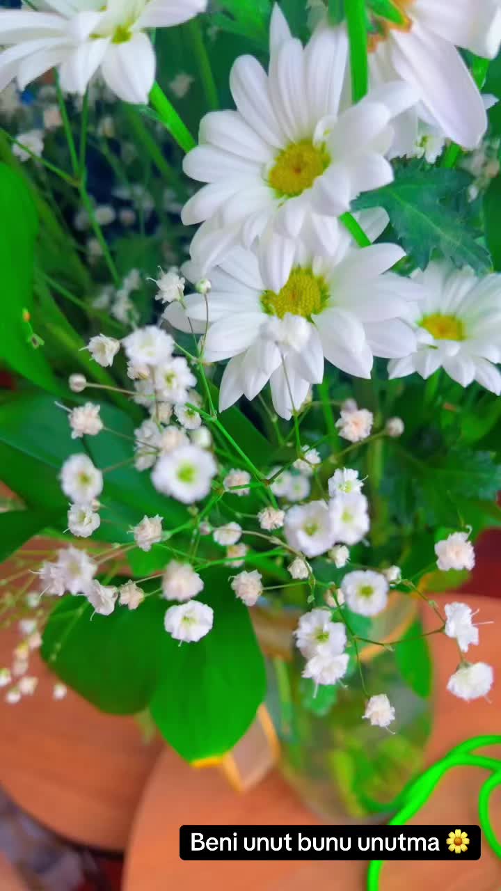 @oyaklge