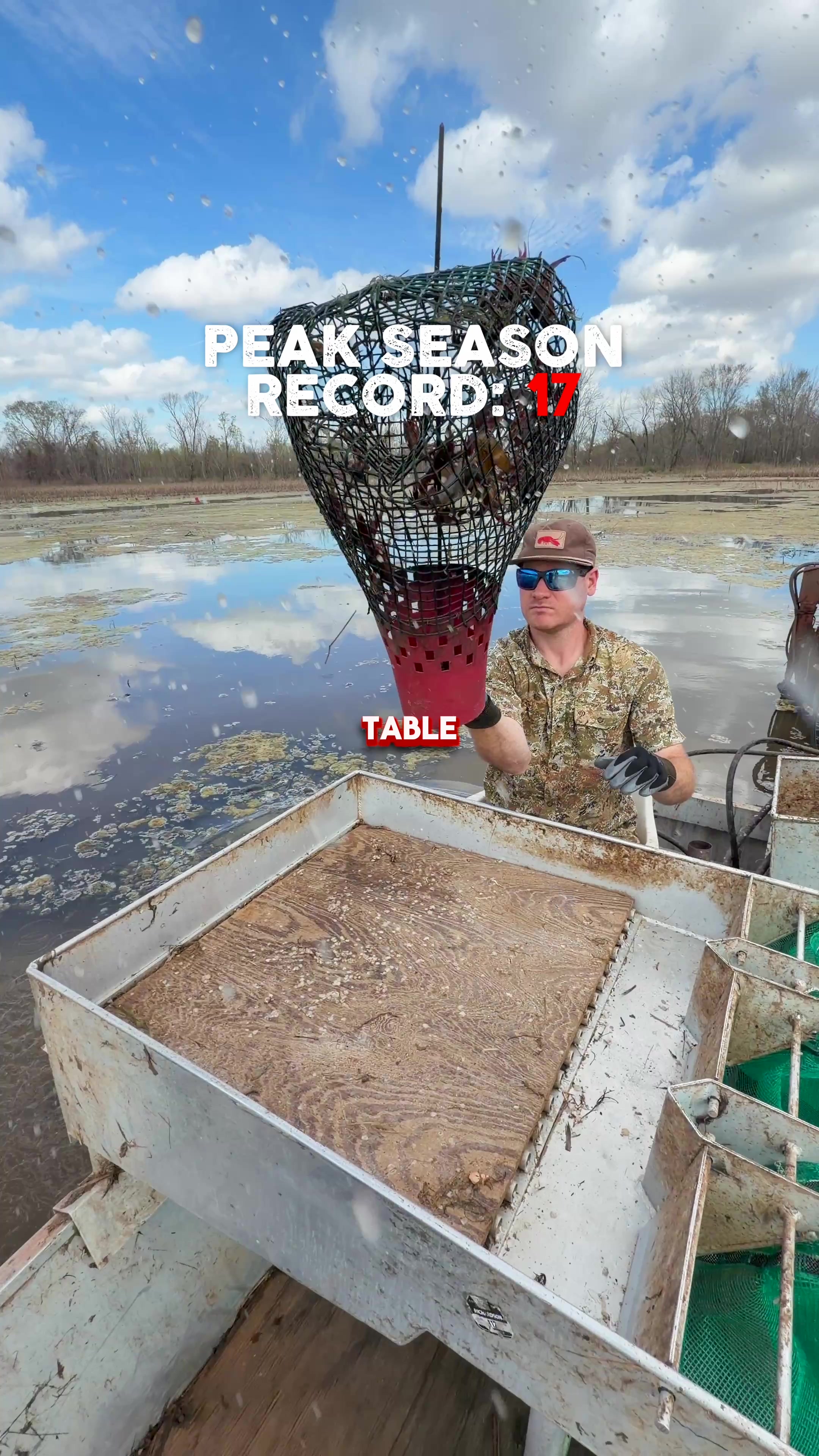 @louisianacrawfishco