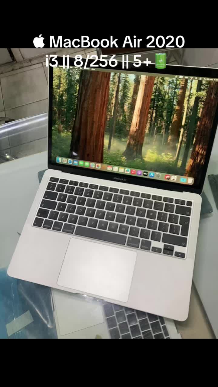 @محمد بن أبوبکر