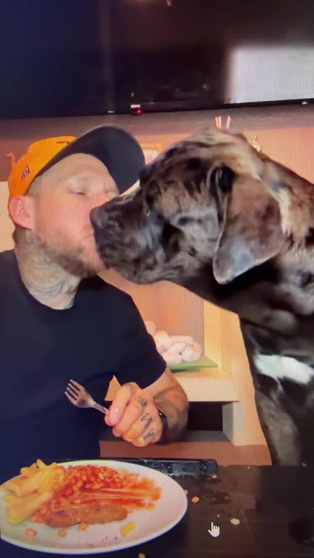 @Dogs aren&rsquo;t Family