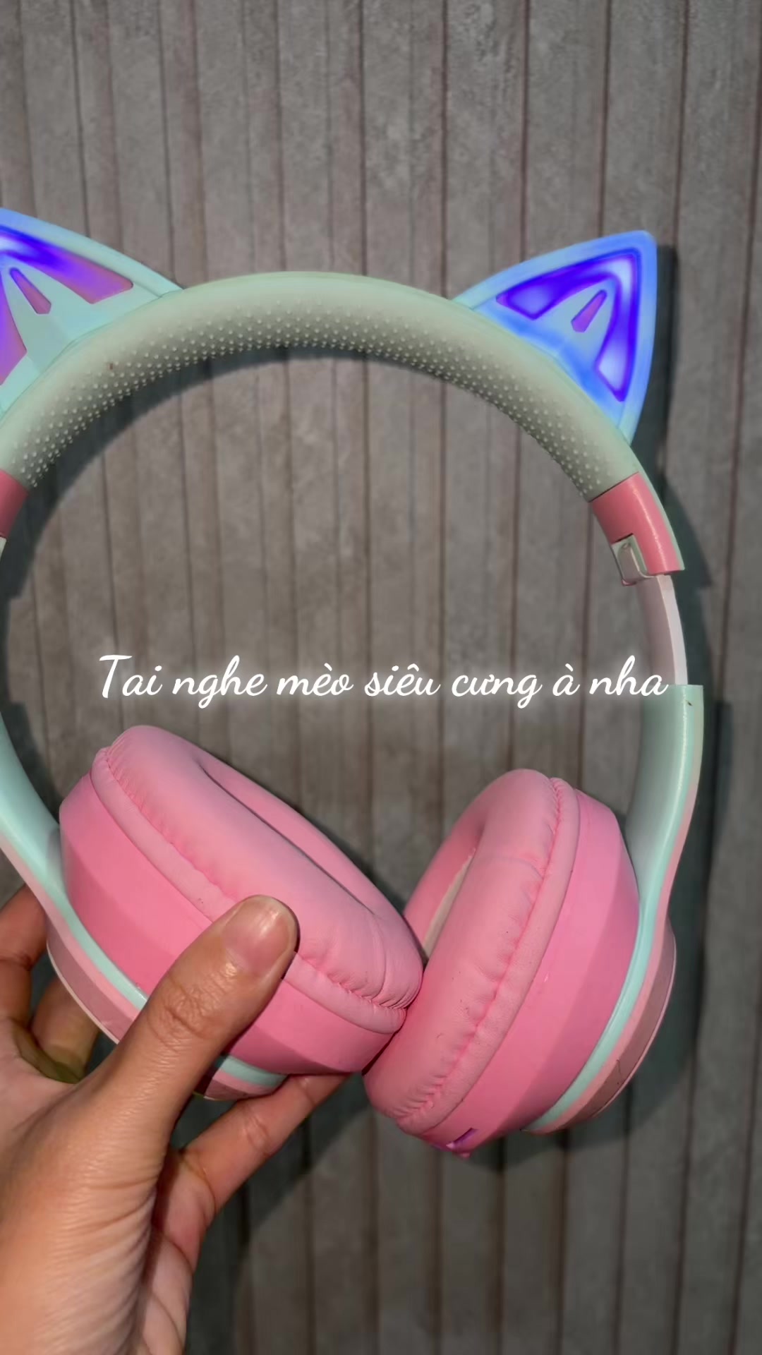 @Bé Tím Shop ♥️