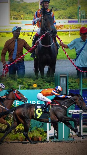 @kevin 🏆🏇🏇🏇🏆 🇸🇬🇲🇾🇳🇿
