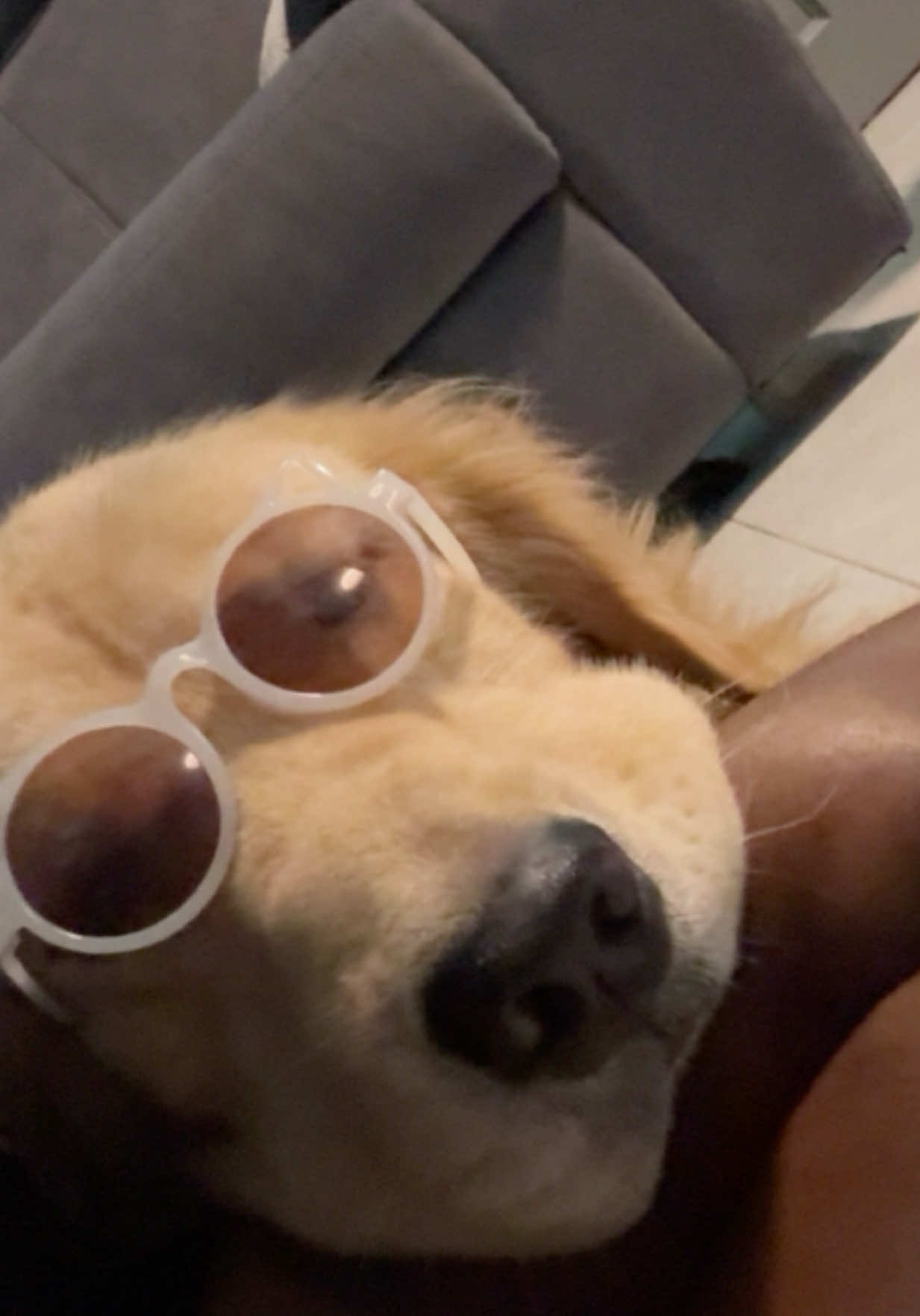 @🌼𝓓𝓪𝓲𝓼𝔂𝓑𝓵𝓸𝓼𝓼𝓸𝓶😜