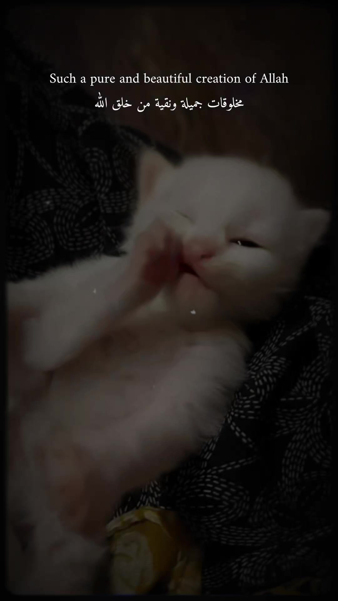 @๐
๐ุช๐๐๐ ุจฺูู