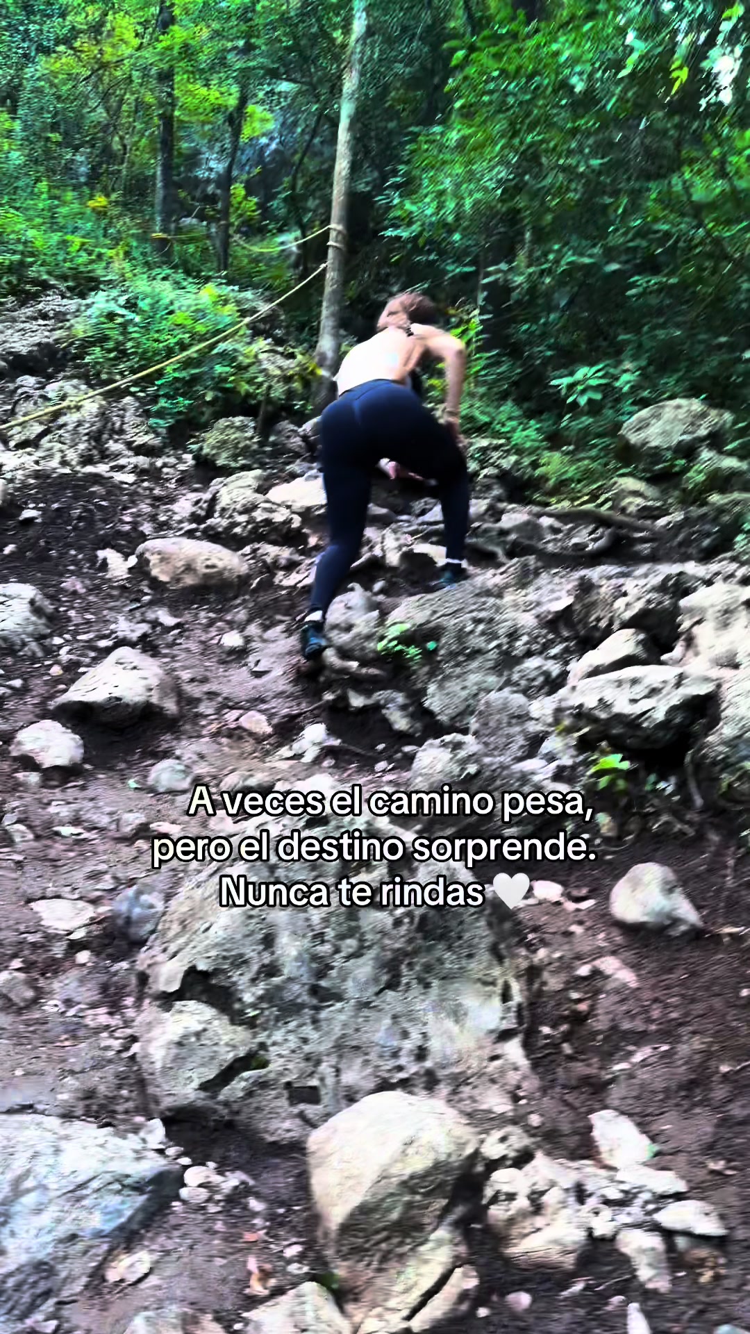@queseleantojaalareyyna