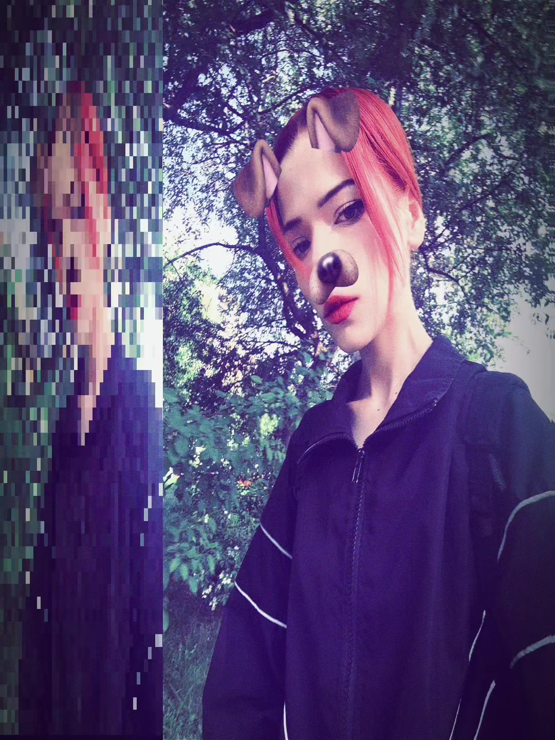 @чихуахуа