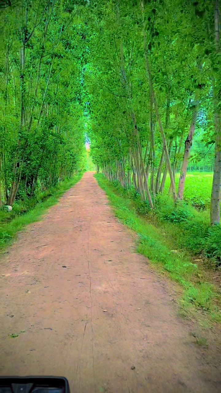 @Wajid Gull