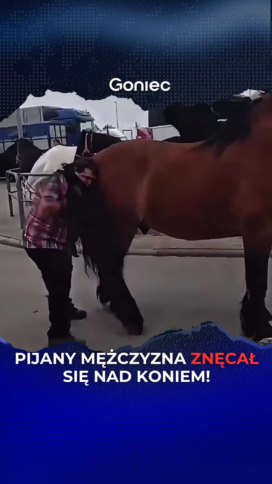 @Goniec.pl - wiadomości