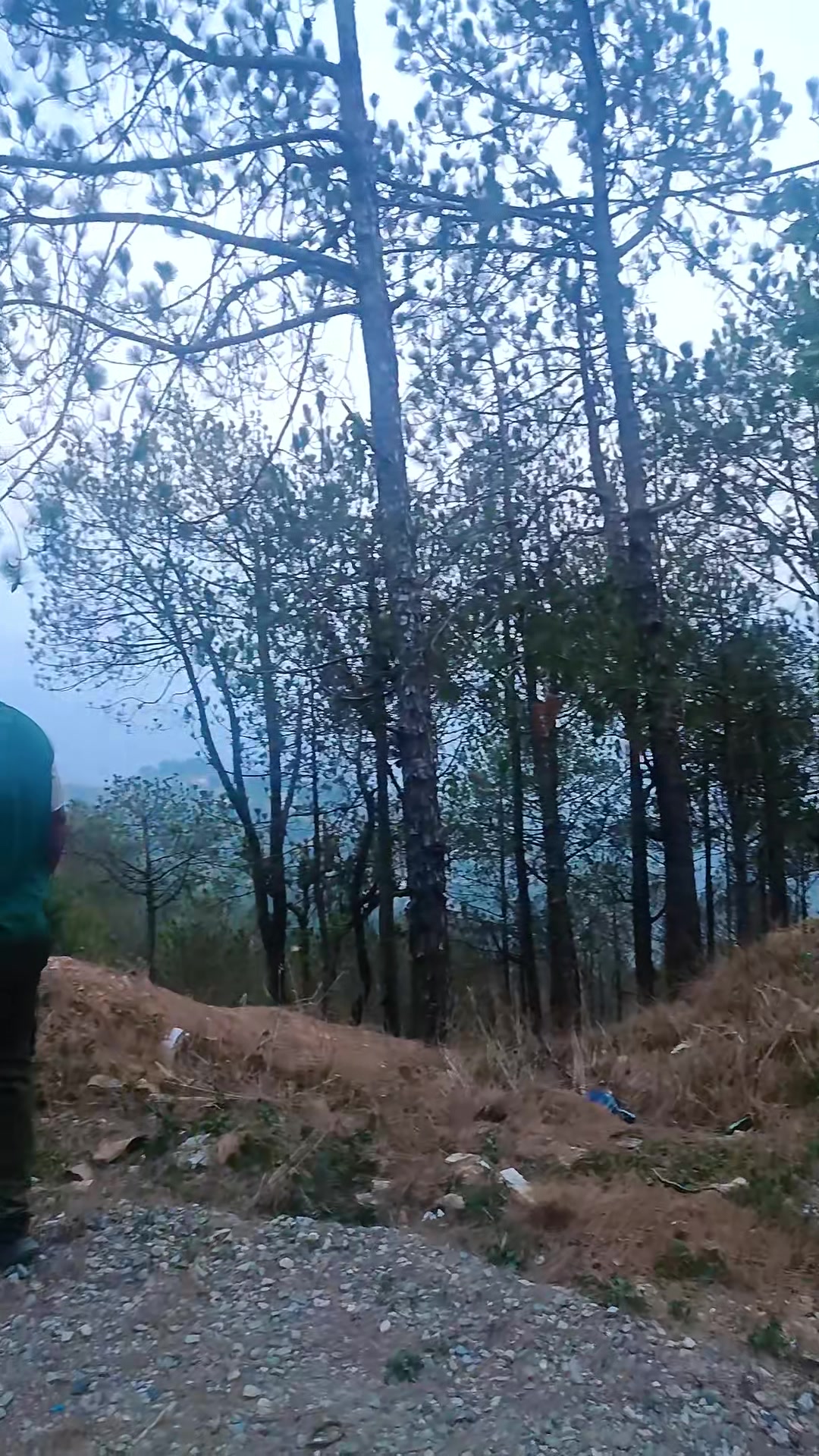 @Arayan Singh thakuri