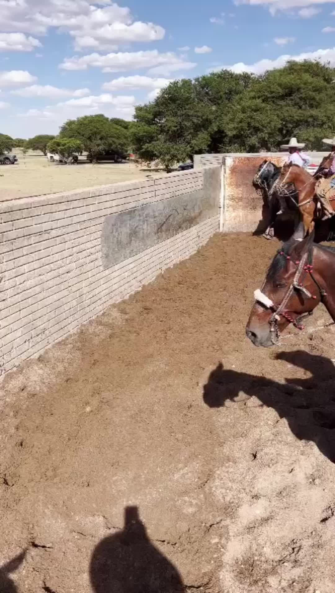 @Cesar Medina