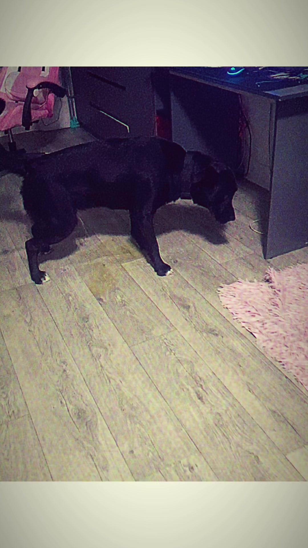 @мышка