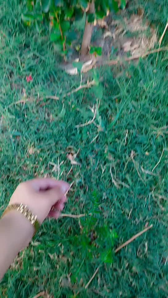 @ch.rohan3374