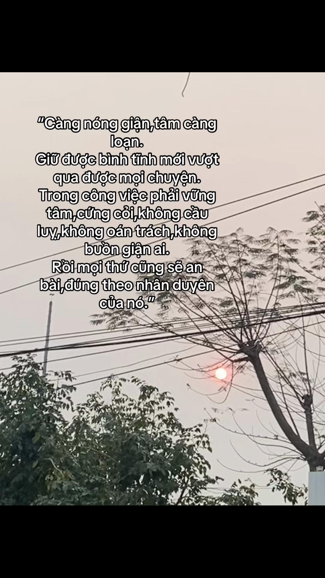 @🪷