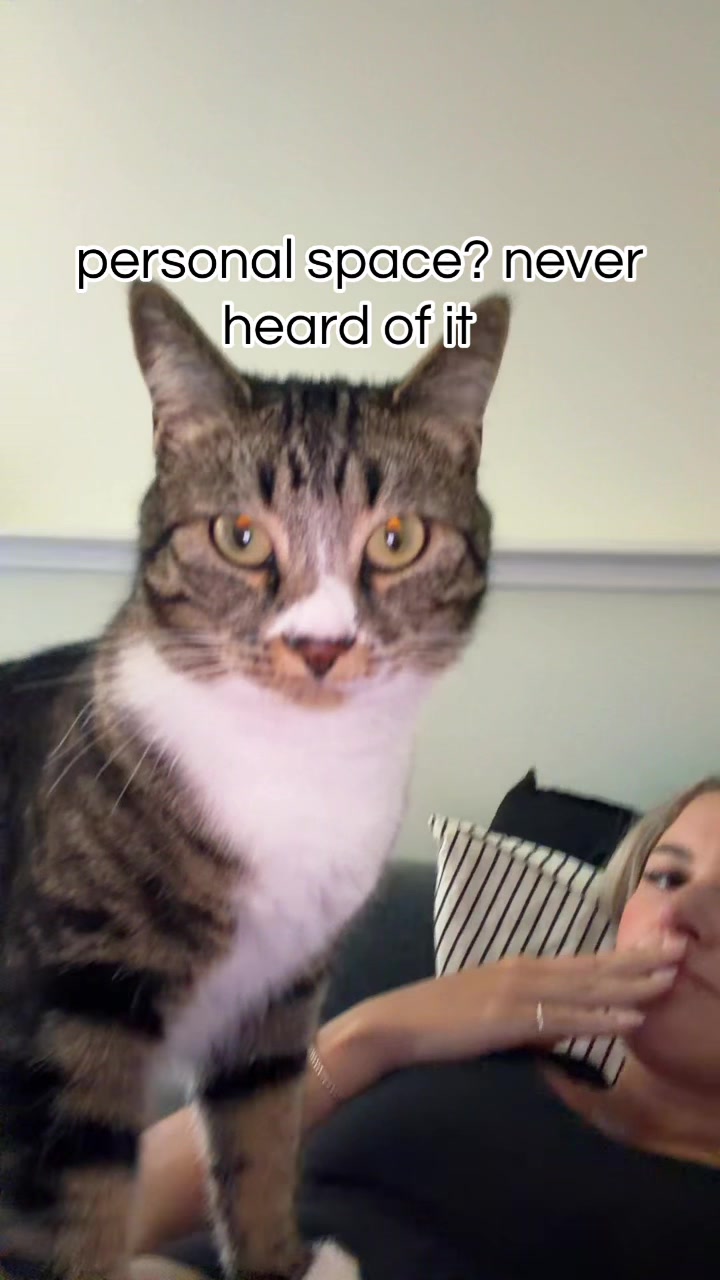 @Bmichaud