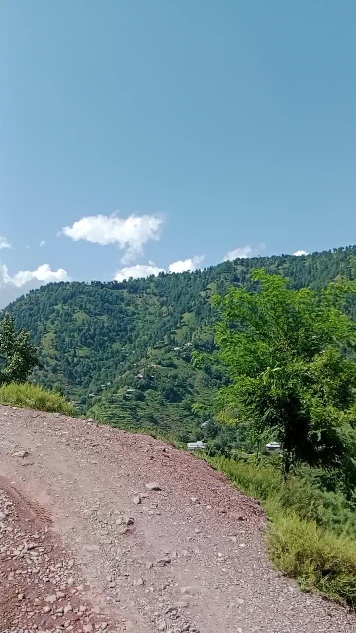 @Moon bhai
