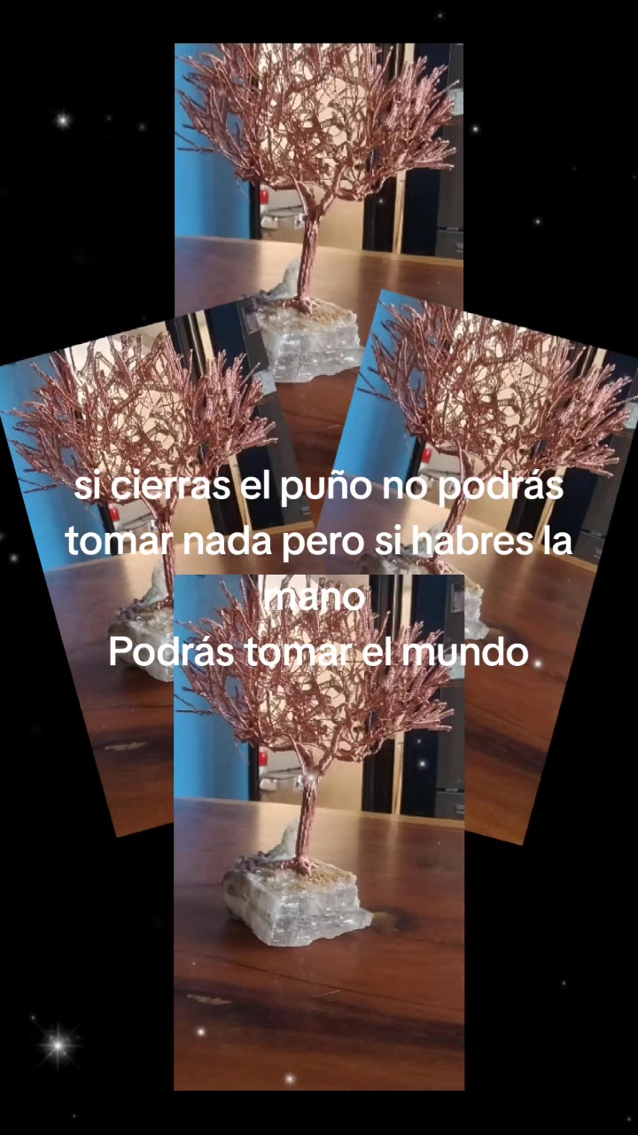 @Mini bosque