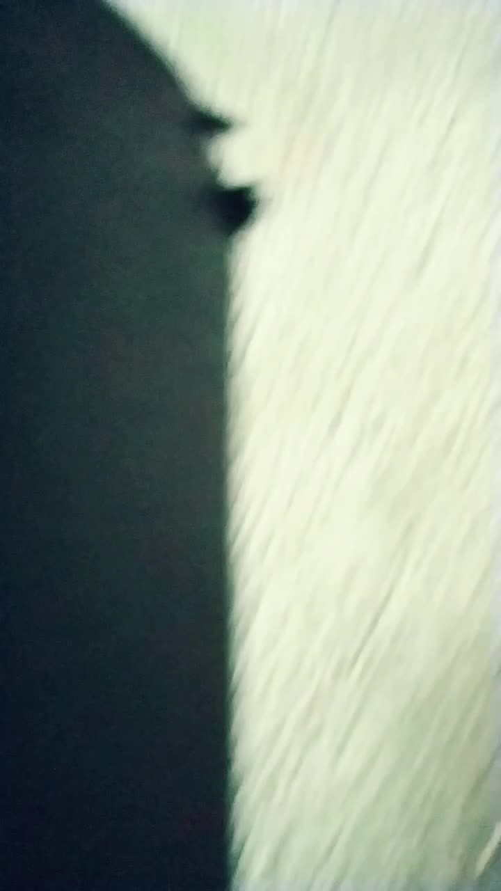@zorobro_editz