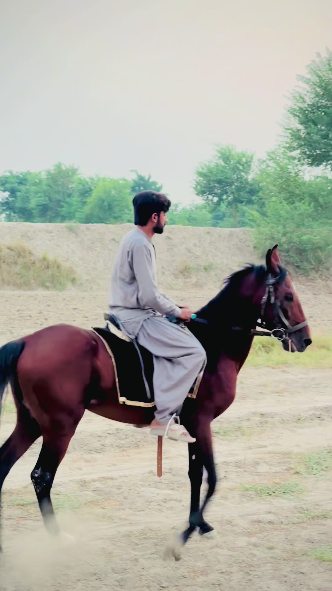 @Haji Qais Malik