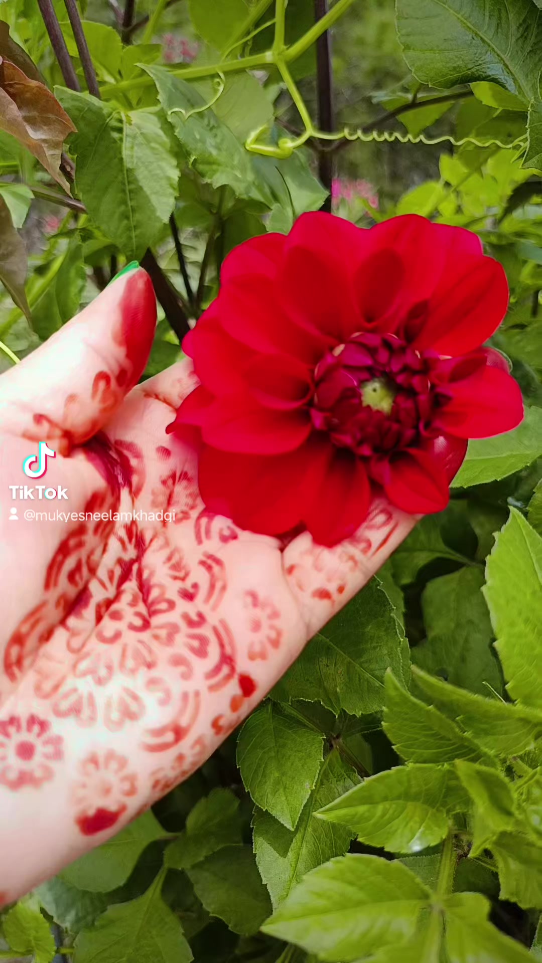 @MukyesNeelam khadgi