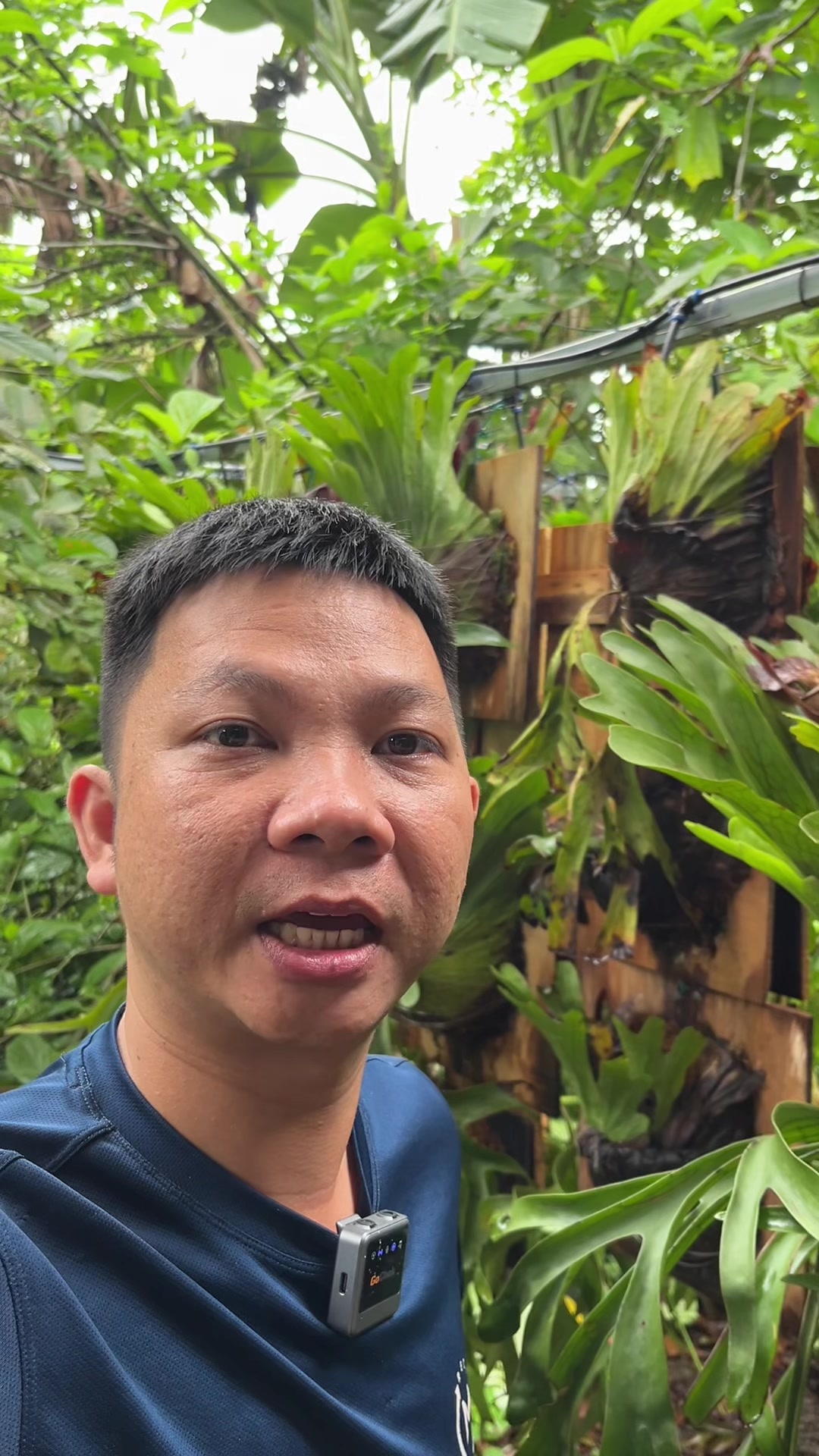 @Huy Kiểng Lá