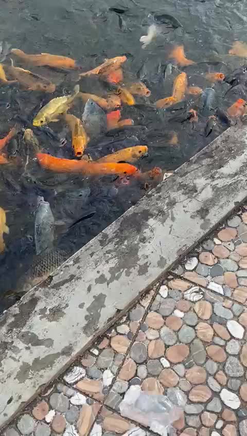 @Idris Ujang