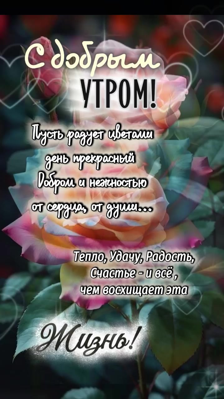@Цветик 🇰🇿