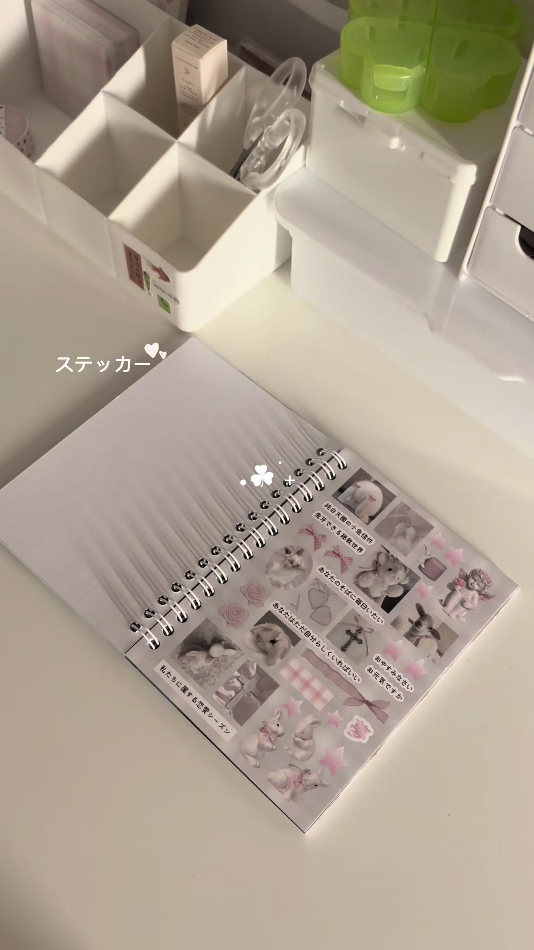 @𝑏𝑢𝑛𝑛𝑦✿