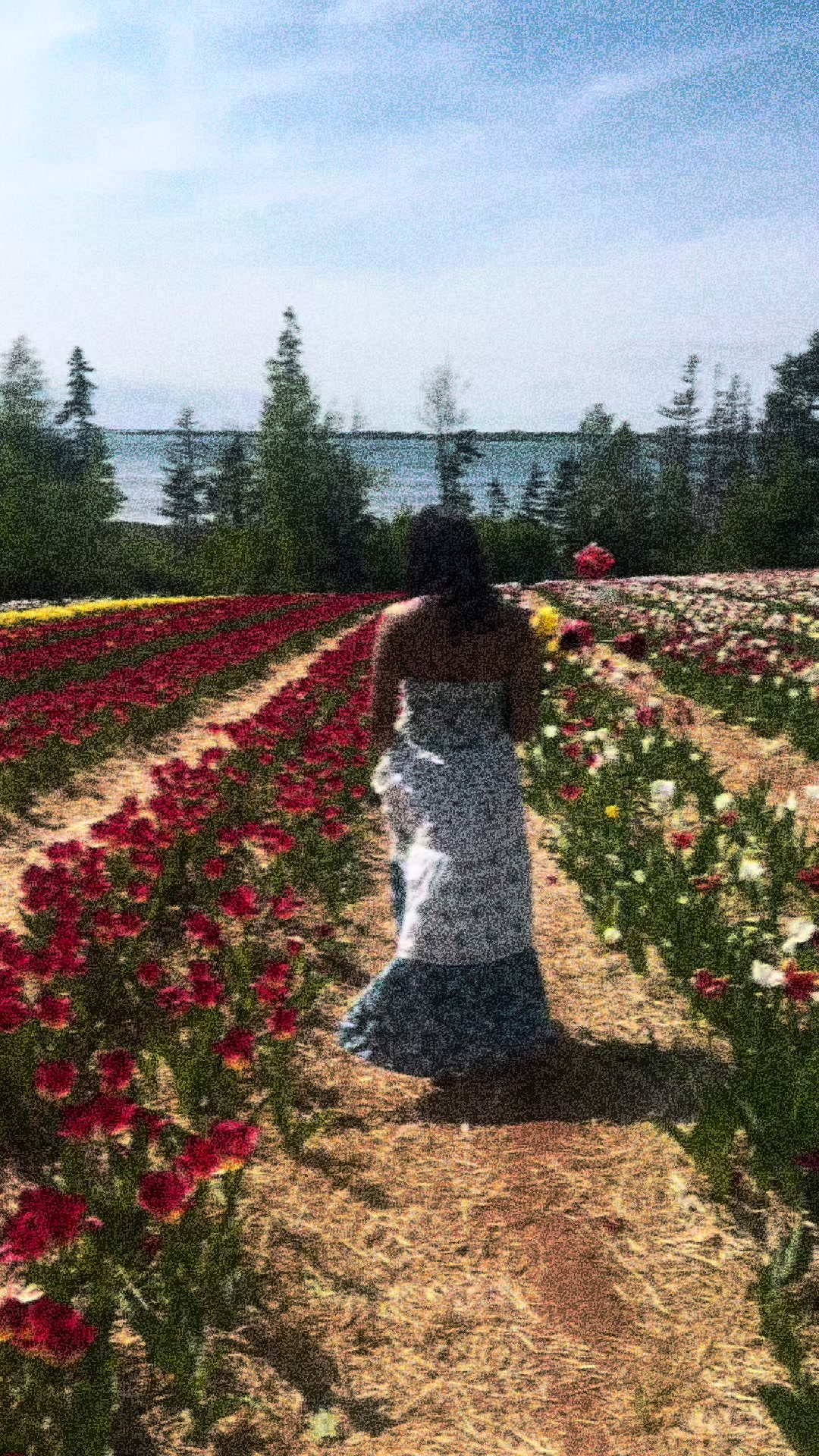 @i_symran