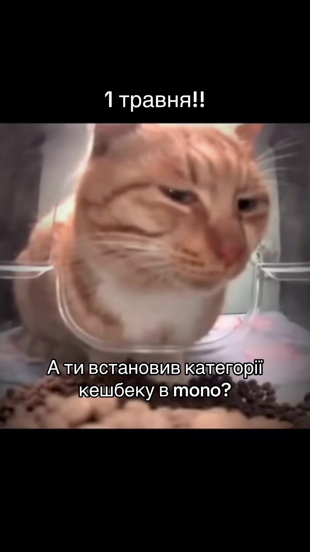 @monobank.ua