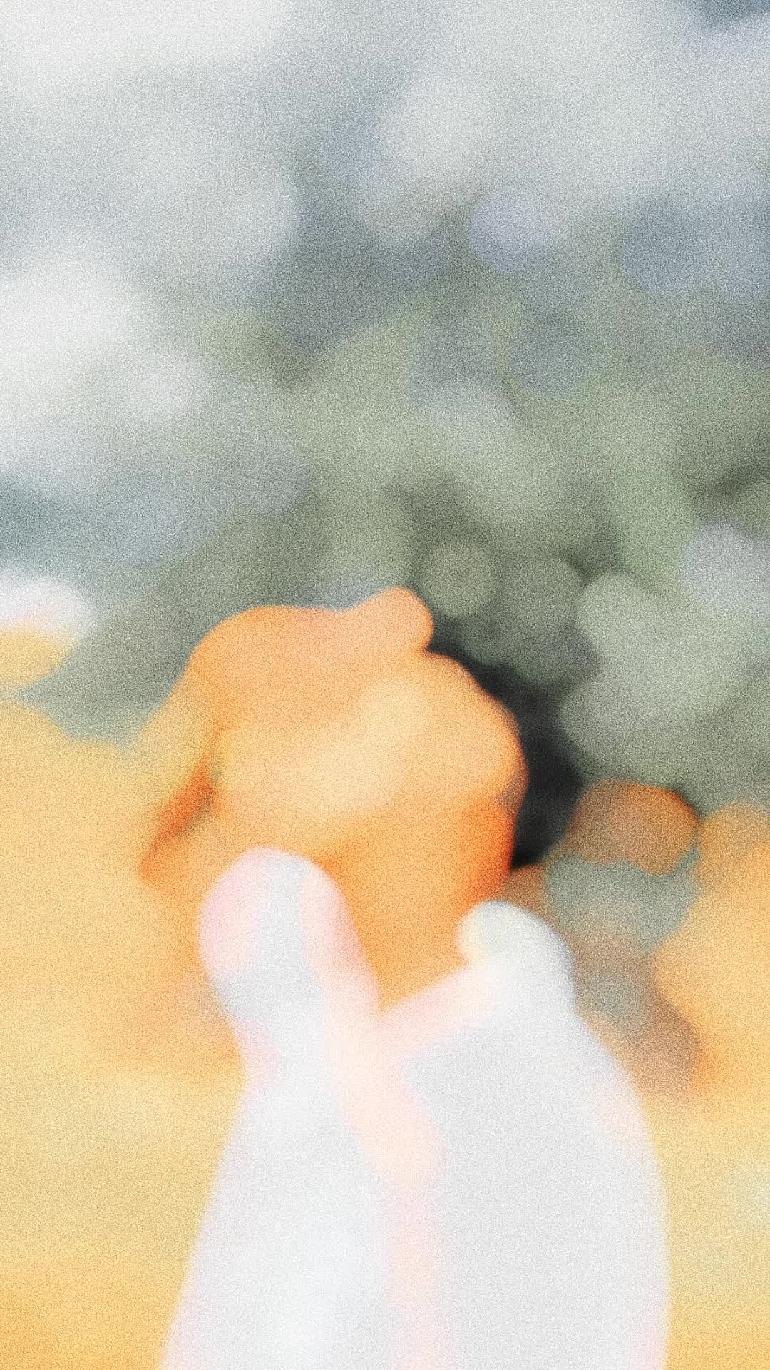 @๐.๐