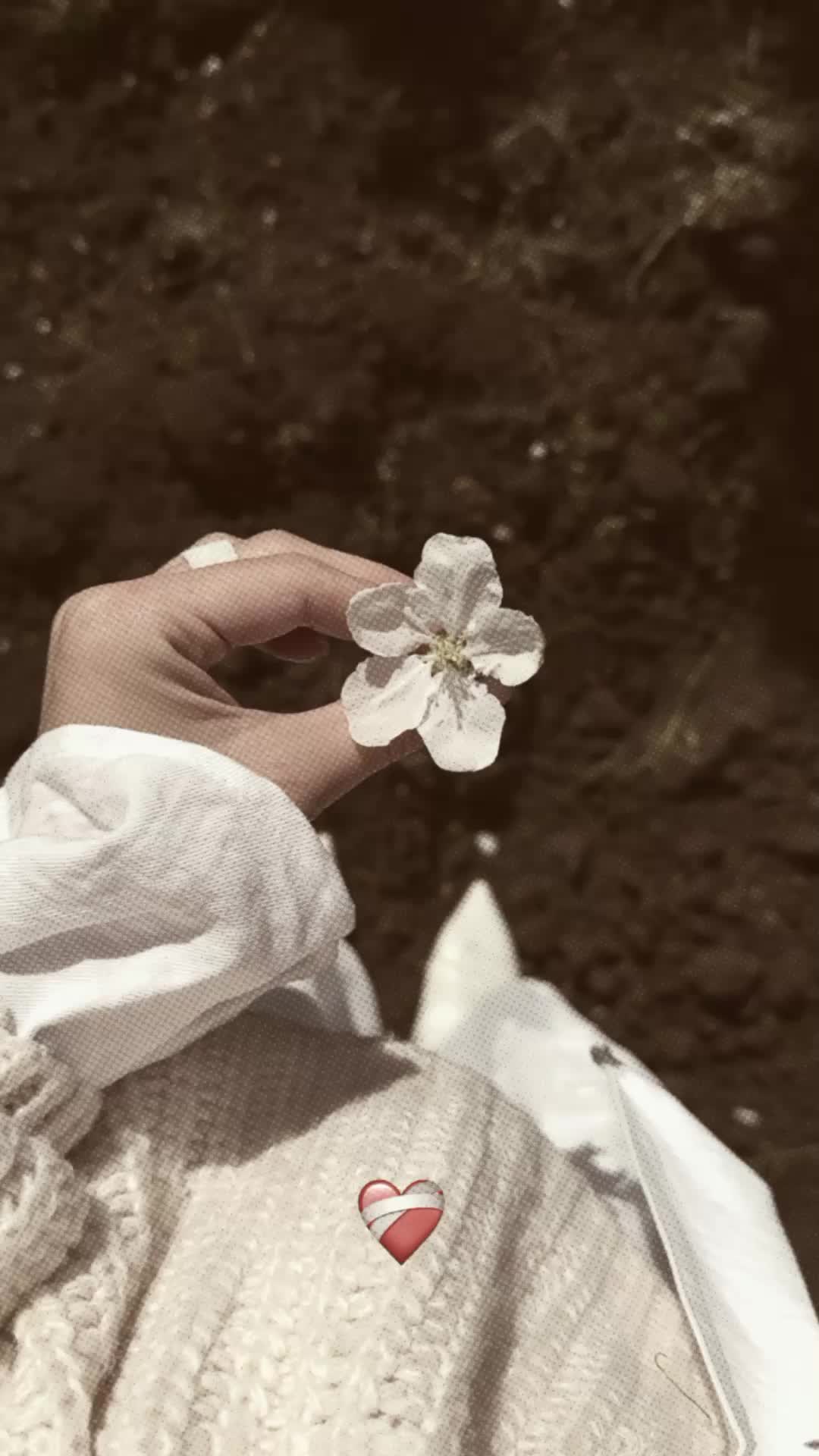 @aksara.kita