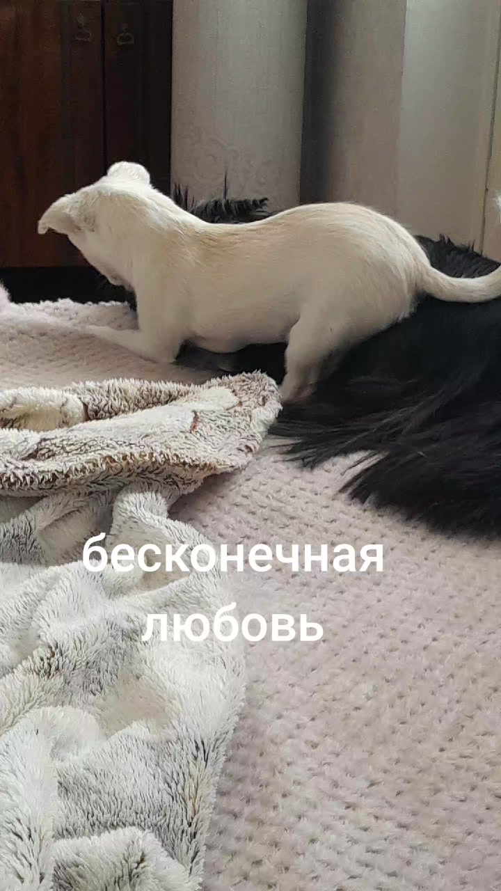 @Жужа