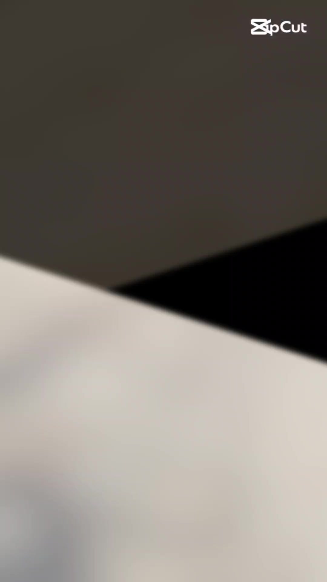 @𝙏𝙤𝙦𝙚𝙚𝙧 𝙄𝙨 𝘽𝙖𝙘𝙠