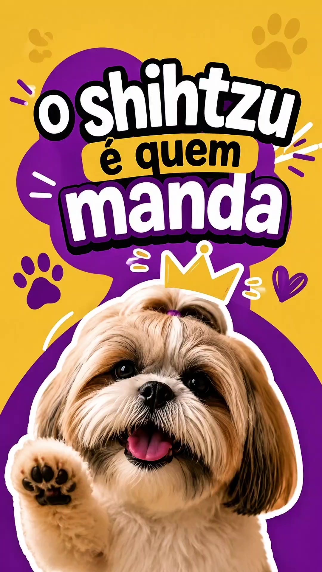 @Explore Aquii 🐾🐾✨️