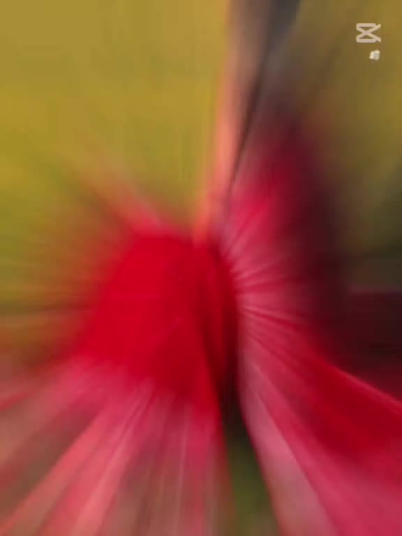 @জামাইয়ের পিচ্ছি বউ