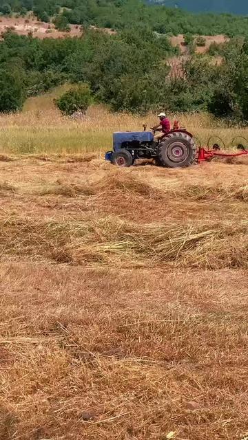 @Doğada yaşam