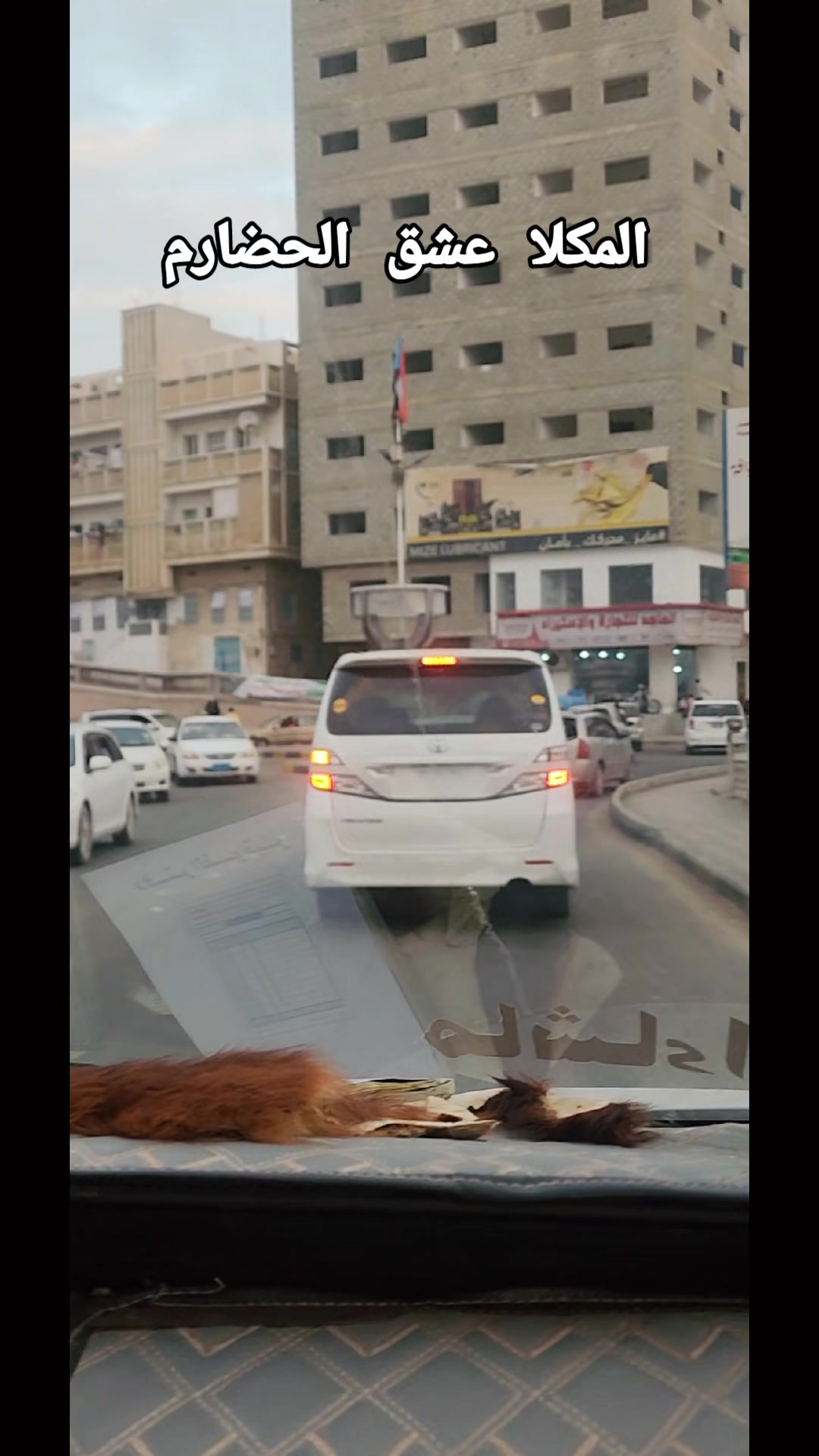 @فوزي باعلوي