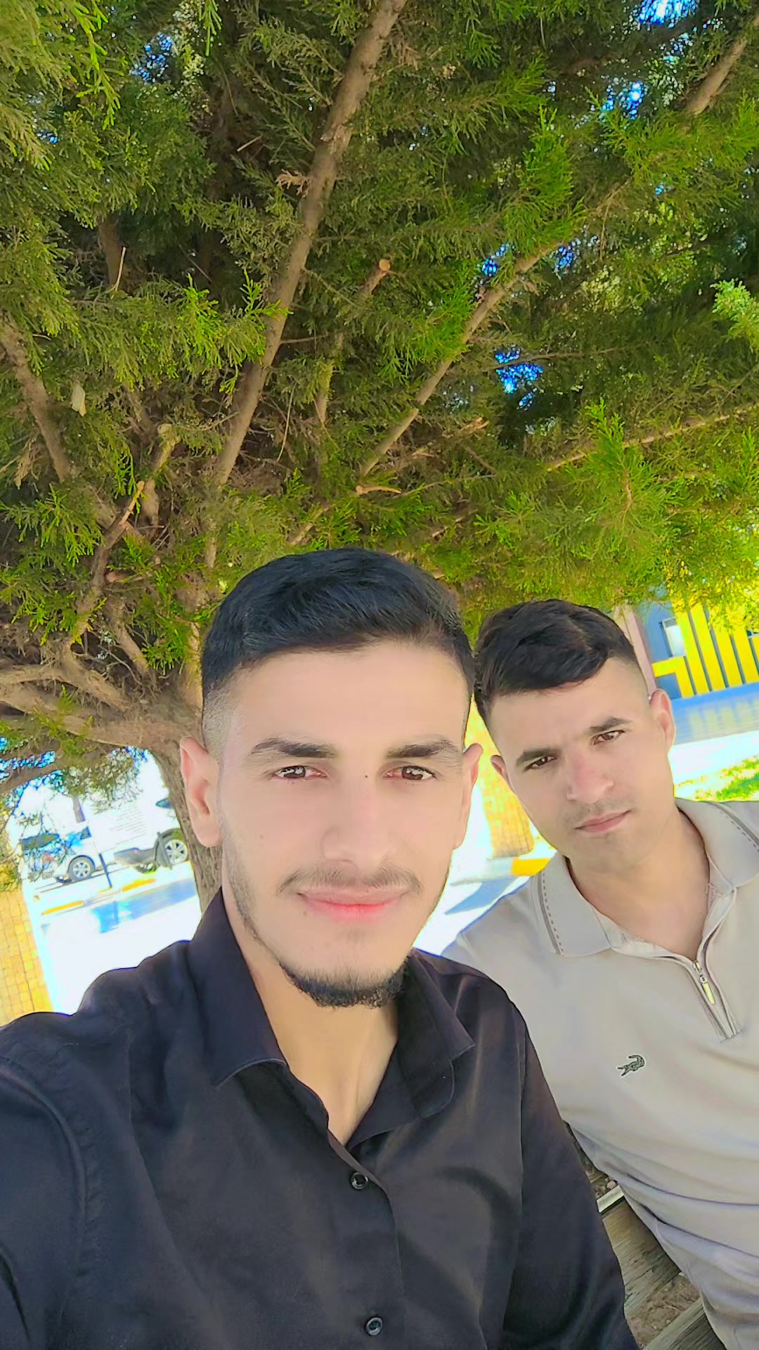 @SALİH NAİMOĞLU