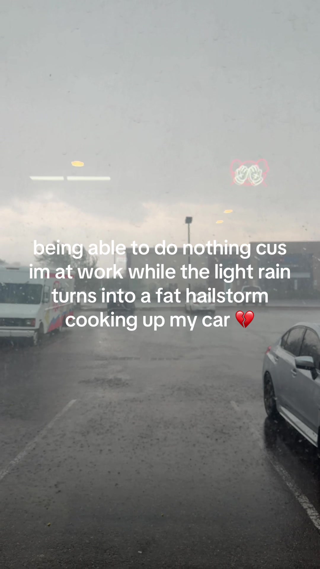 @applecat77