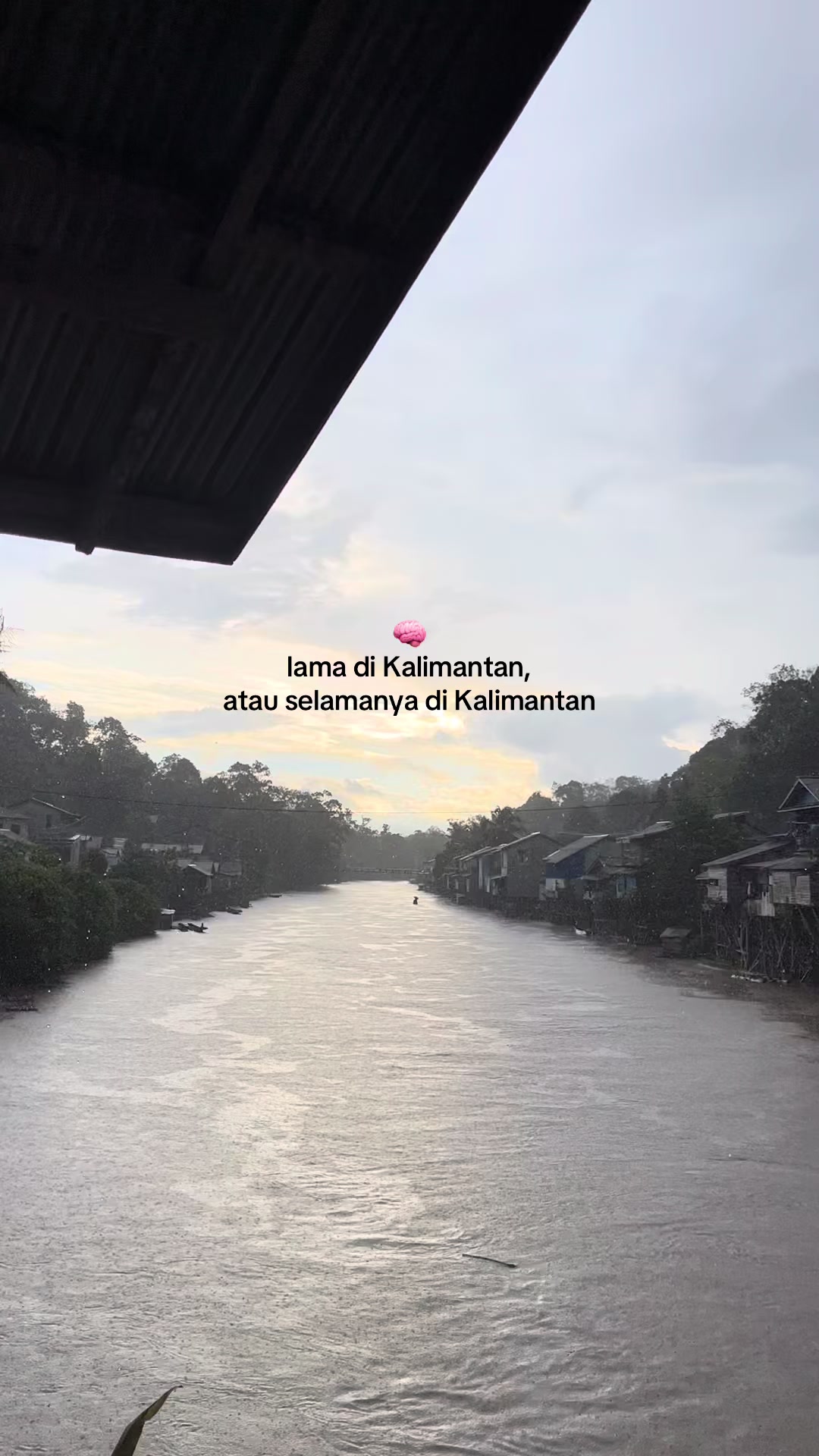 @manusiamanis