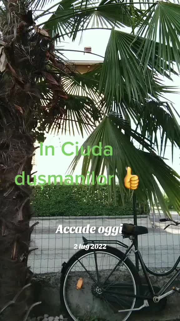 @🇹🇩🇹🇩⛔️TeodoraM74⛔️🇹🇩🇹🇩