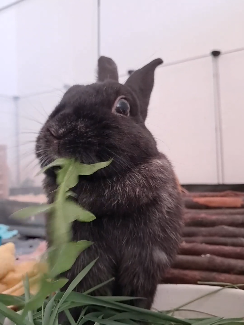 @<3