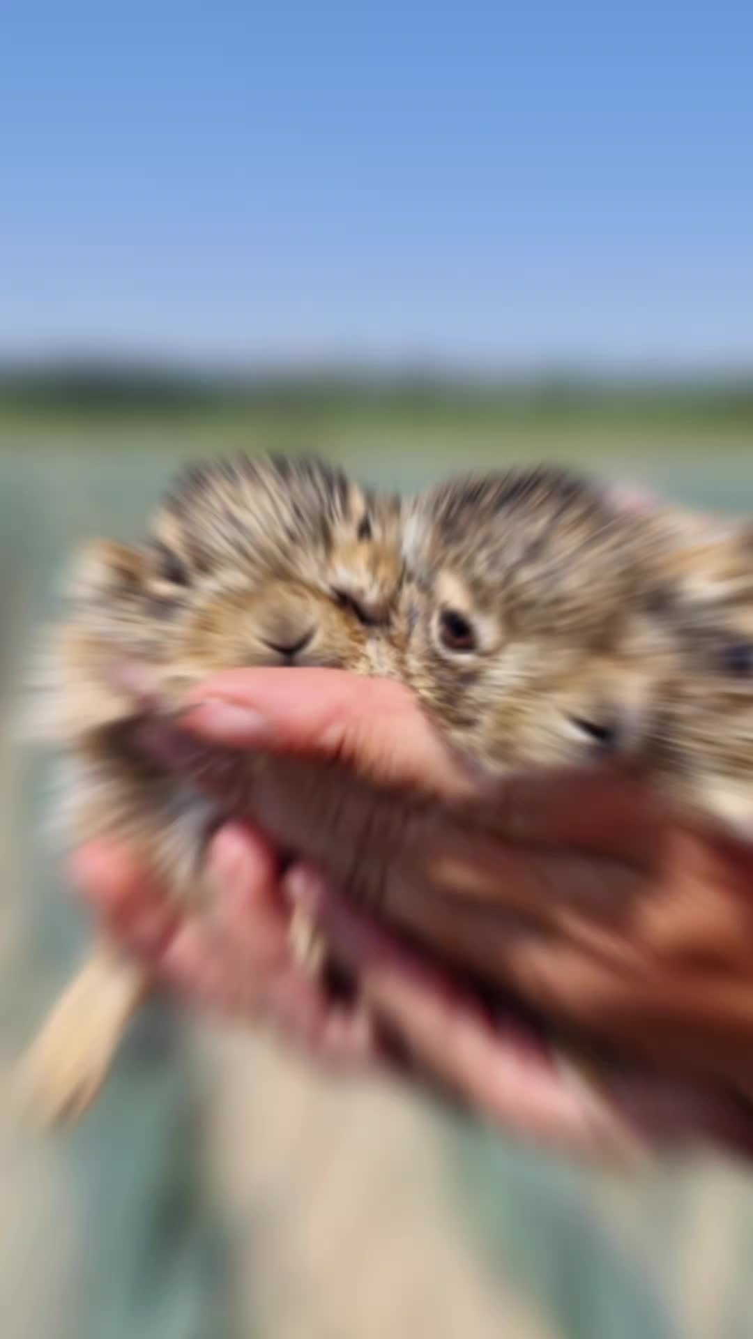 @Юська💙💛