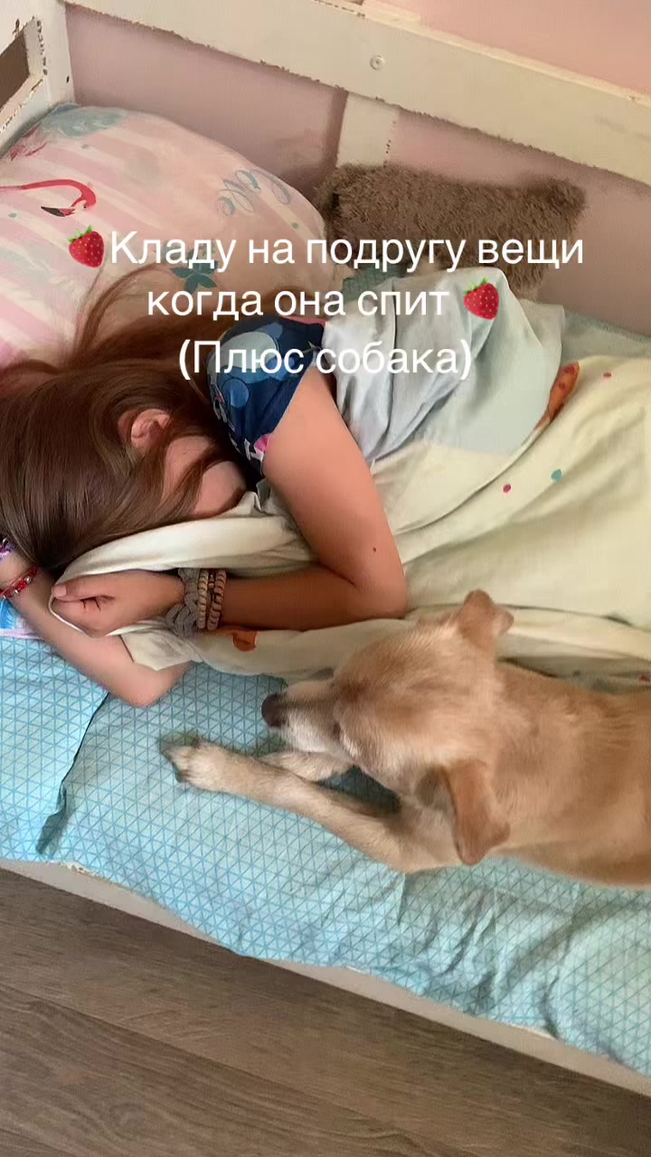 @arina