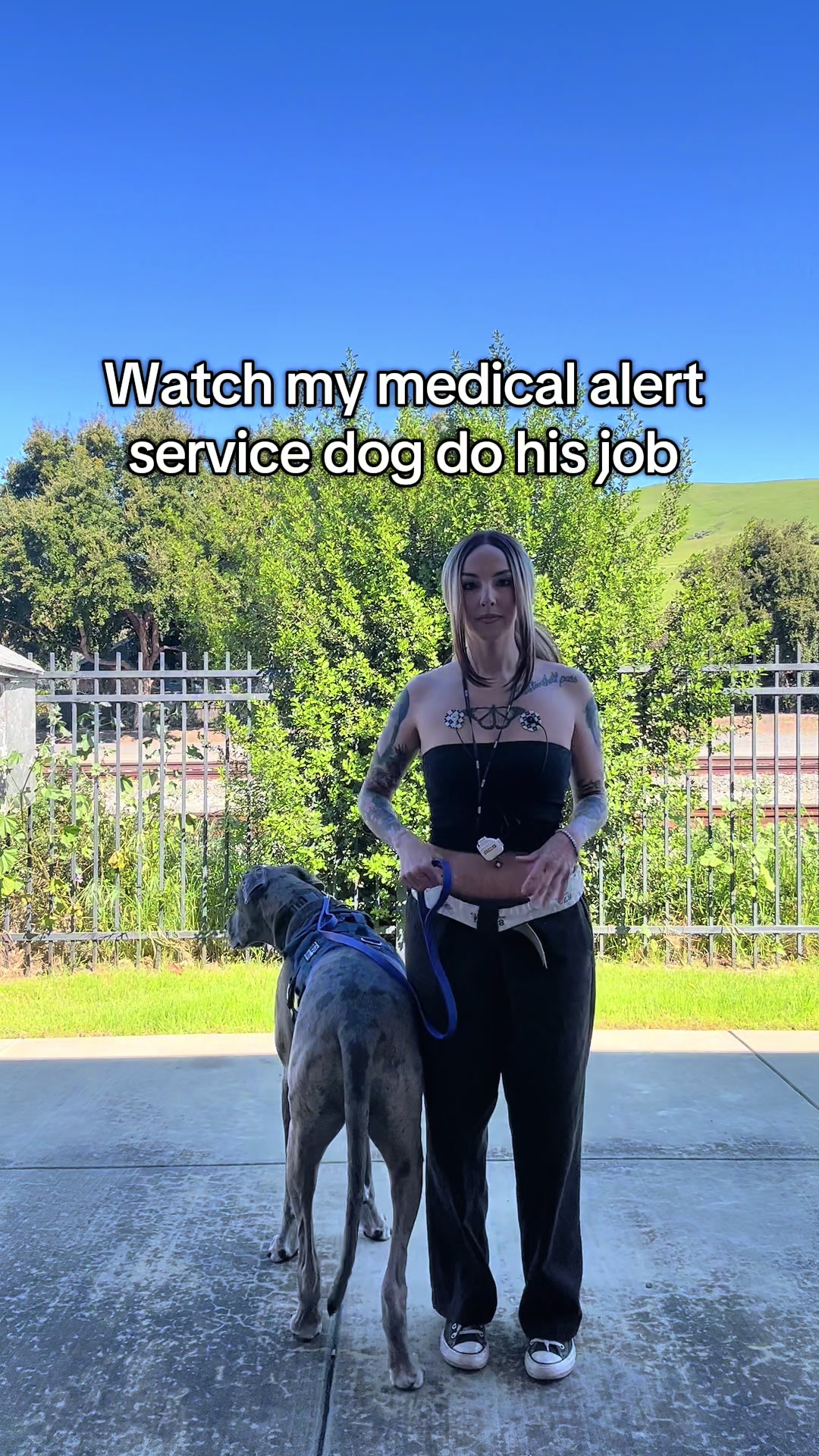 @lex 🐺⛓️