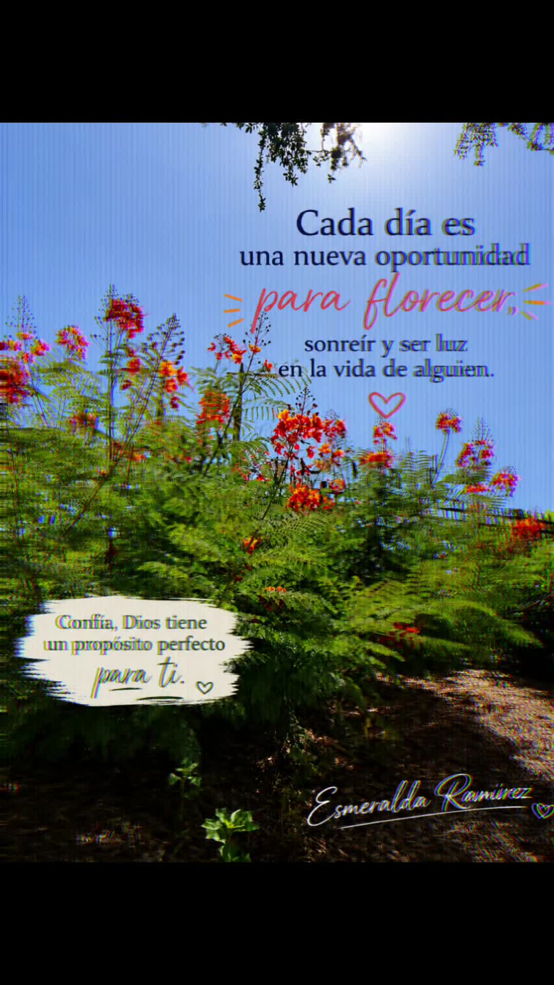 @🤍🤍esmeralda 🤍🤍